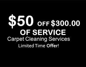 $50 off cleaning services over $300. Limited time offer.