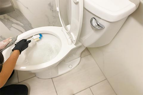 Completely clean and remove ring in toilet